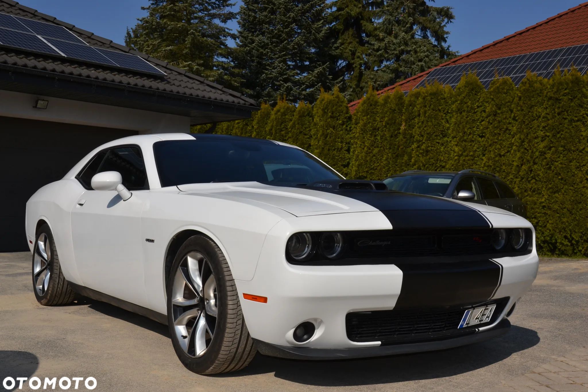 Dodge Challenger 5.7 R/T Shaker - 1
