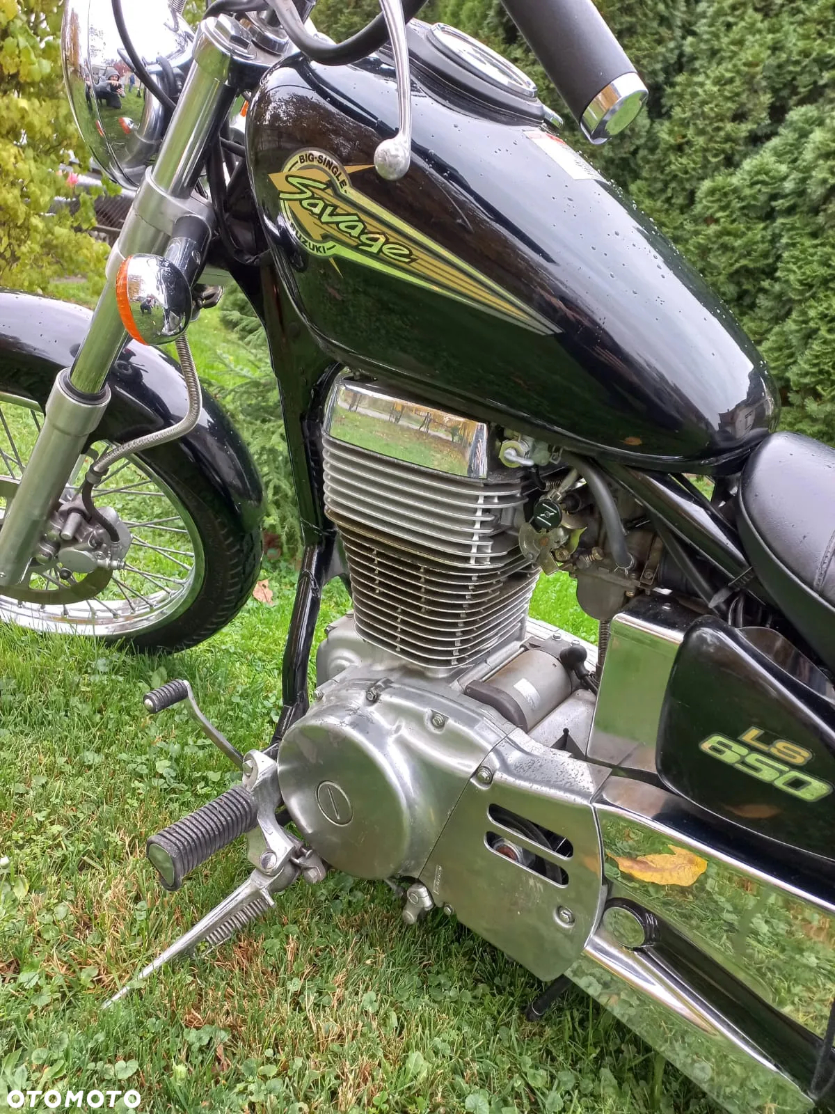 Suzuki Savage - 6