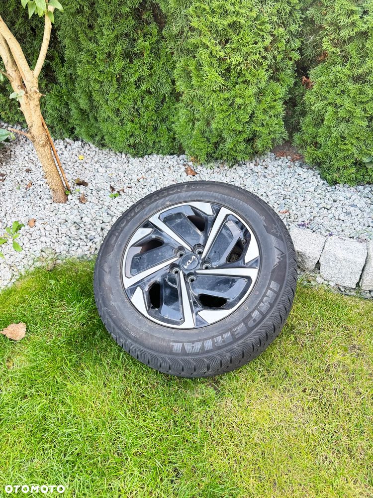 Kia Sportage 1.6 T-GDI MHEV L 2WD DCT - 14