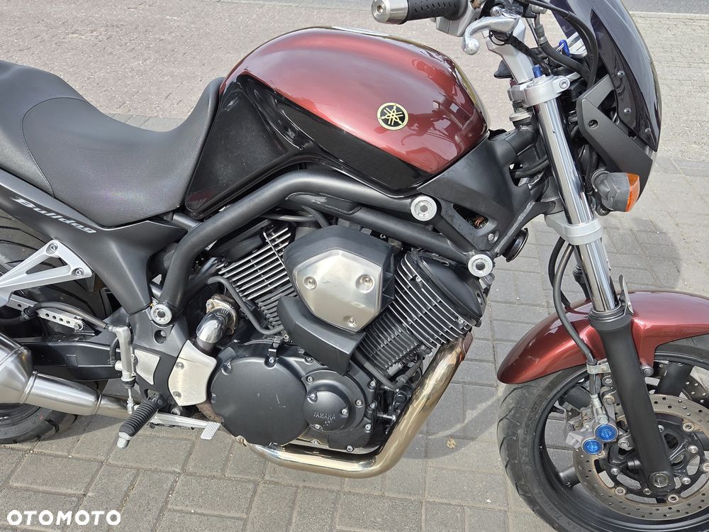 Yamaha Bulldog - 13