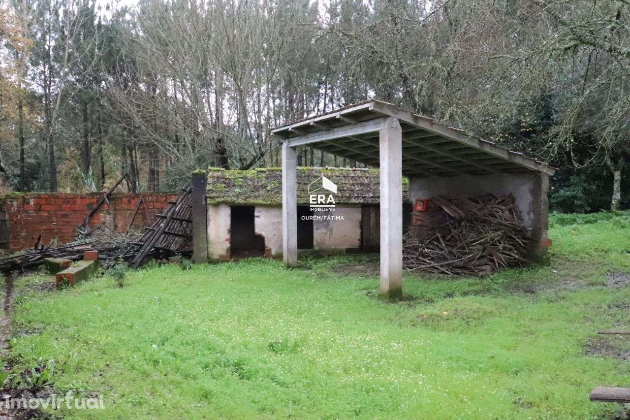 Moradia T3 em Maçãs de Dona Maria! - Grande imagem: 4/13