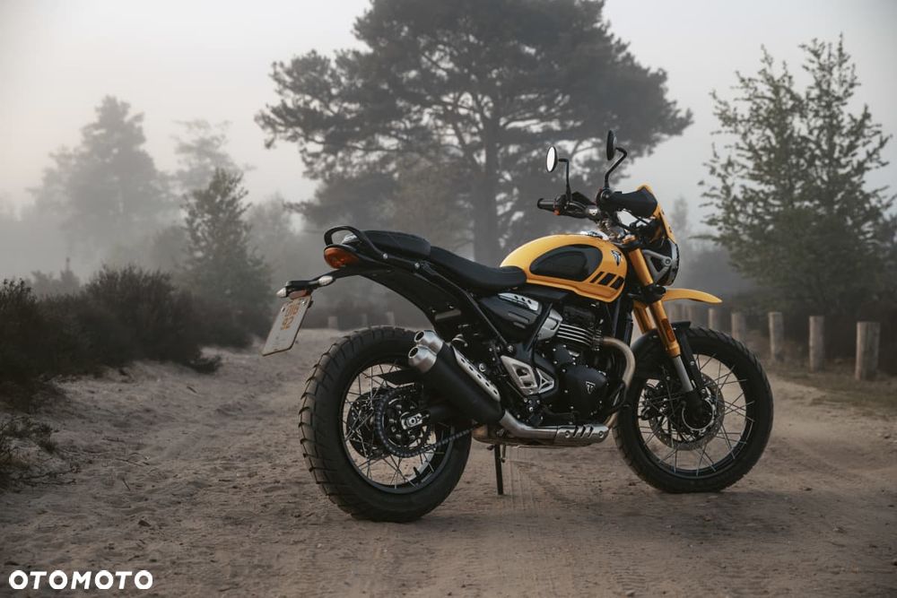 Triumph Scrambler - 2