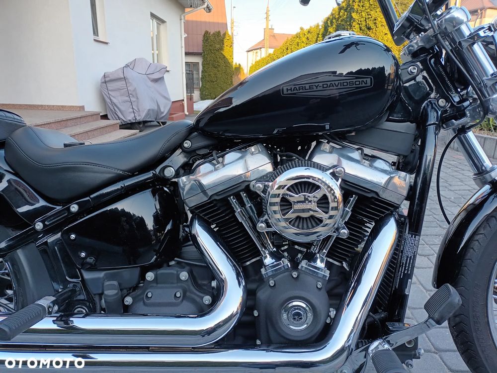 Harley-Davidson Softail Standard - 3