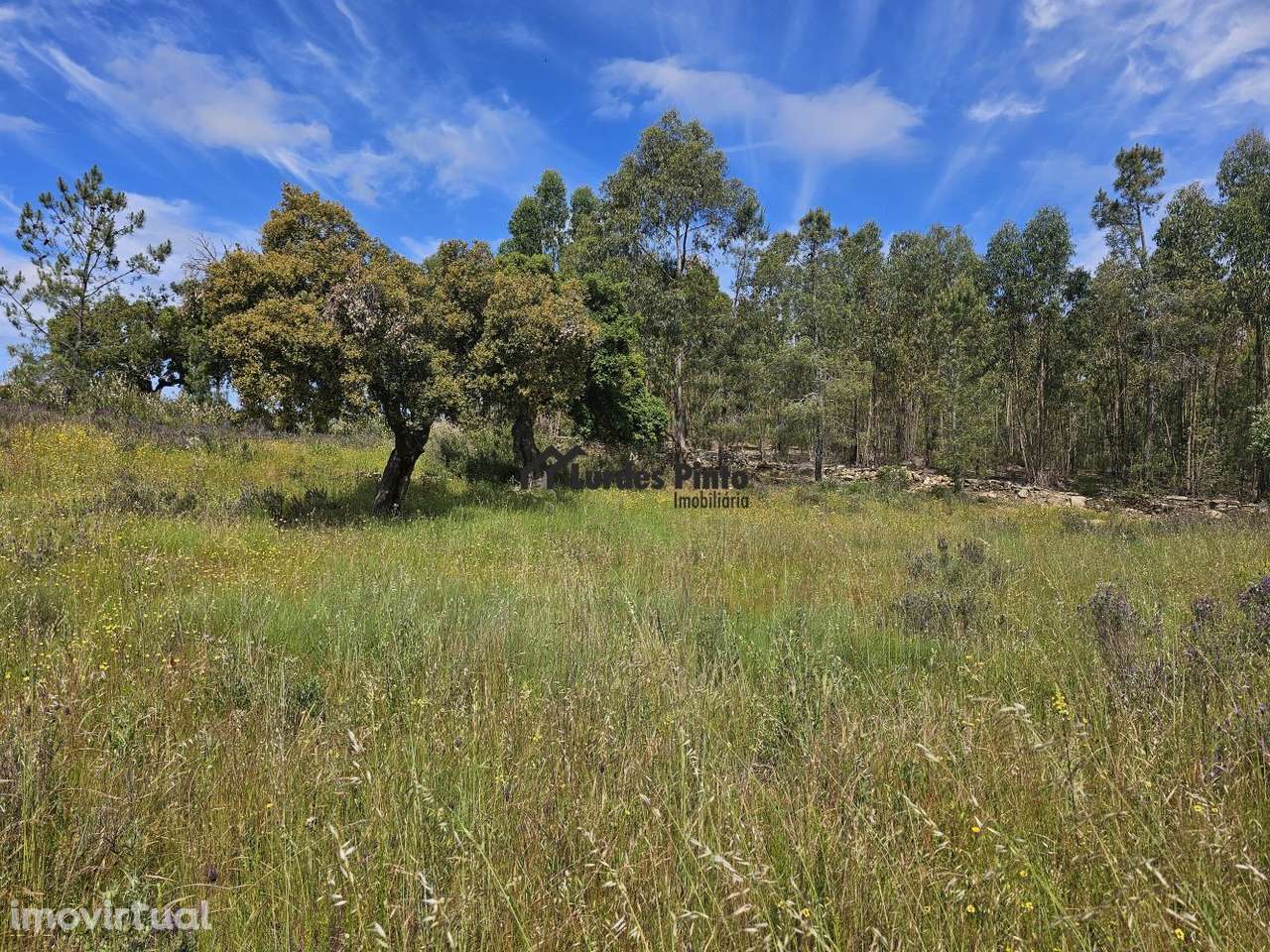 Terreno perto de Castelo Branco - Grande imagem: 2/10