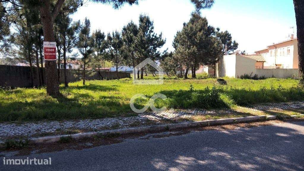 Terreno  Venda em Marinha Grande,Marinha Grande - Grande imagem: 3/5