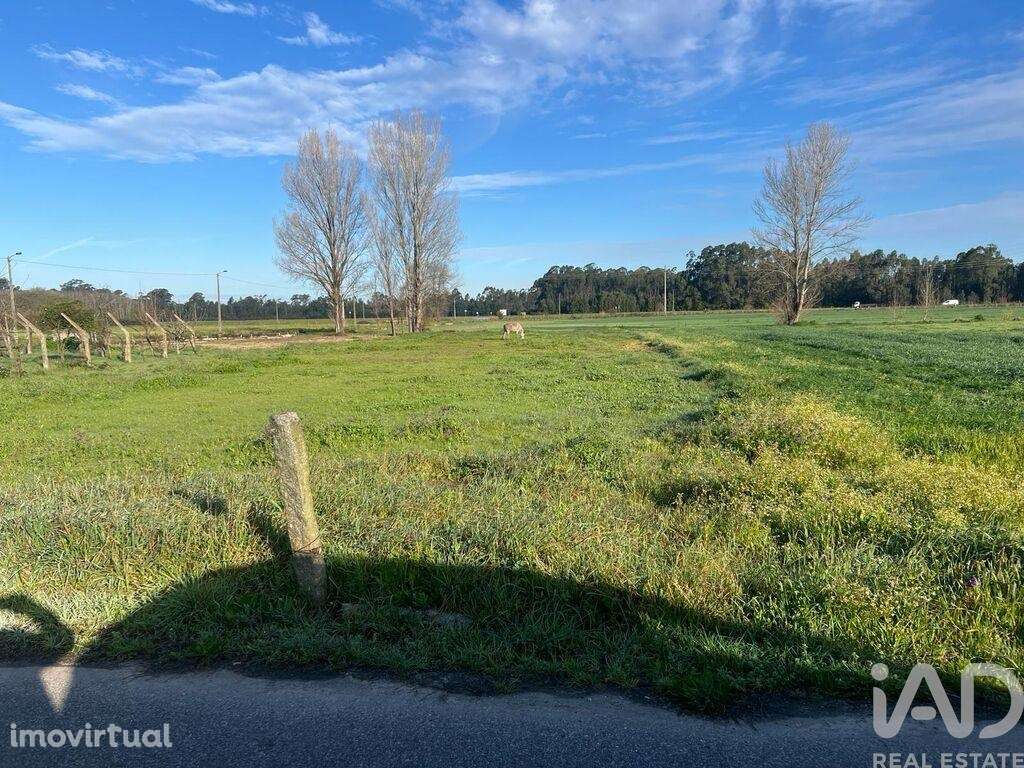 Terreno em Beduído e Veiros de 1720,00 m2 - Grande imagem: 3/4