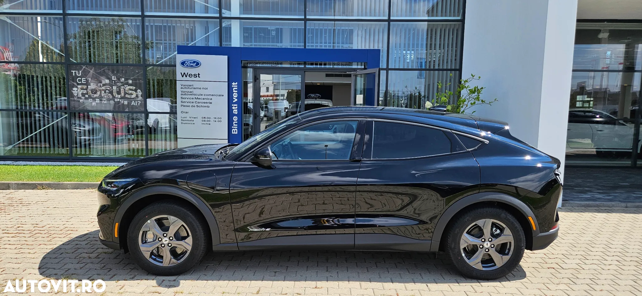Ford Mustang Mach-E RWD Standard Range 198 kW Base - 2