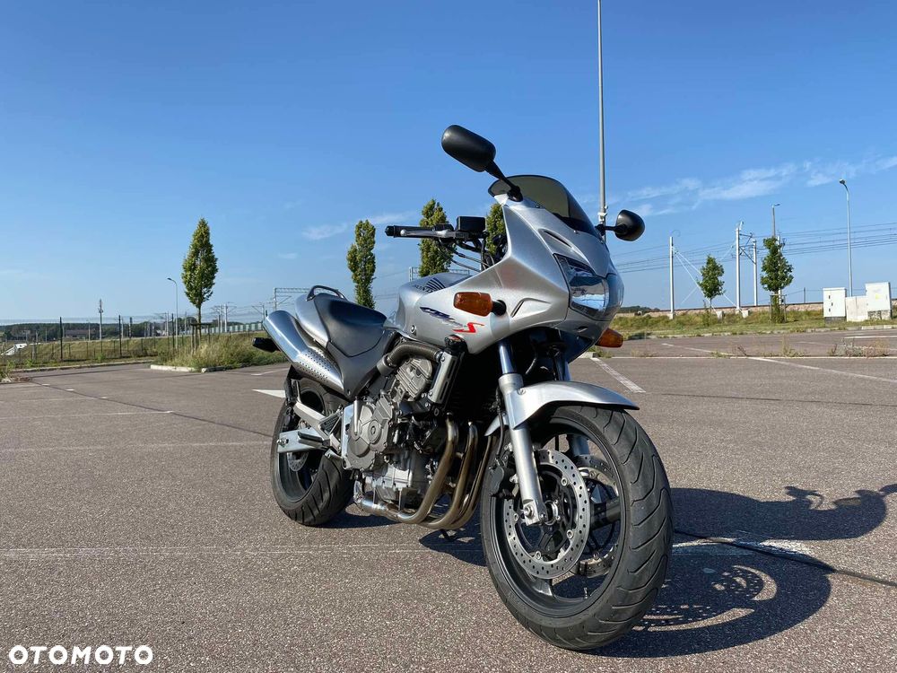 Honda Hornet