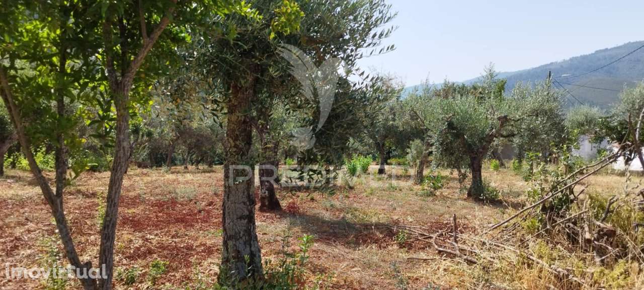 Quintinha em S Julião - Grande imagem: 5/16