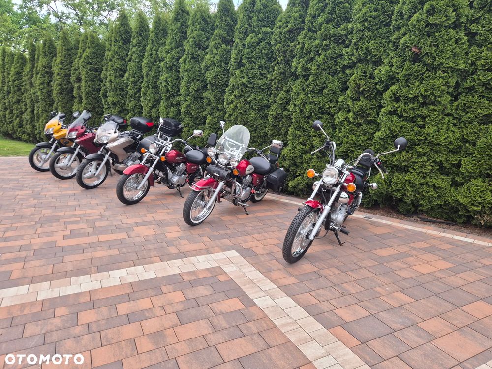 Honda Shadow - 19