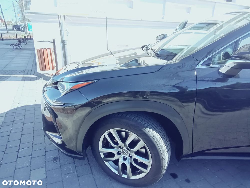 Lexus NX - 15