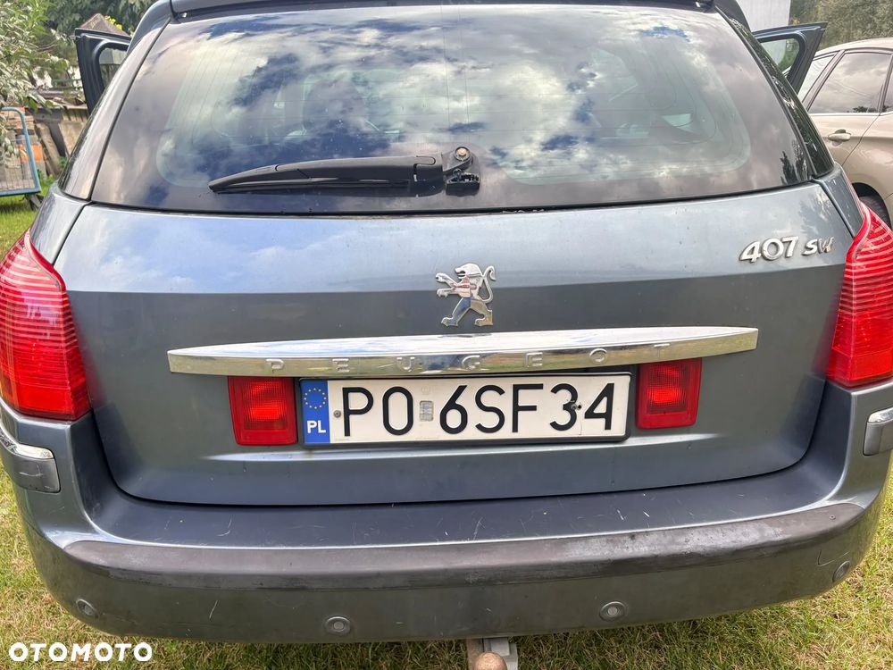 Peugeot 407 - 25