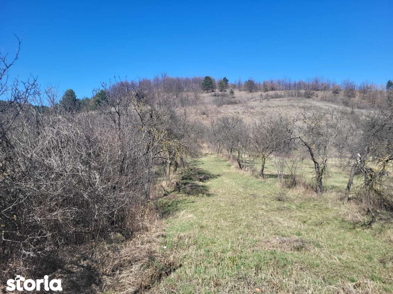 Parcele de vânzare în Tinăud Bihor - Imagine principală: 2/8