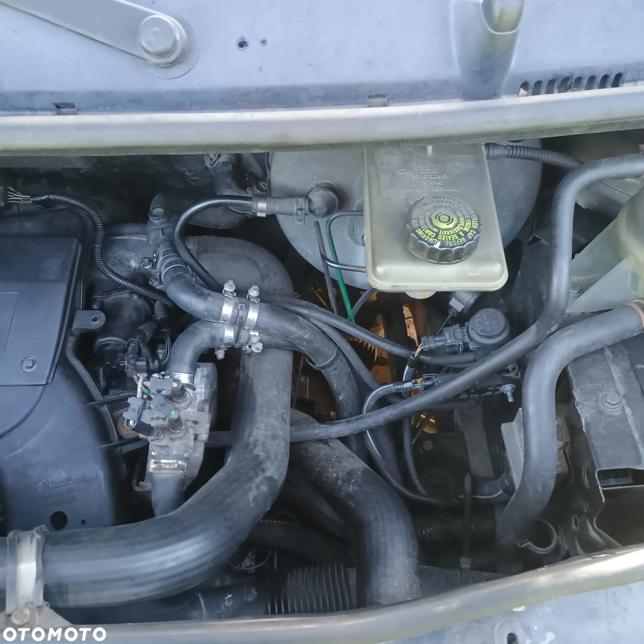 Renault Trafic - 10
