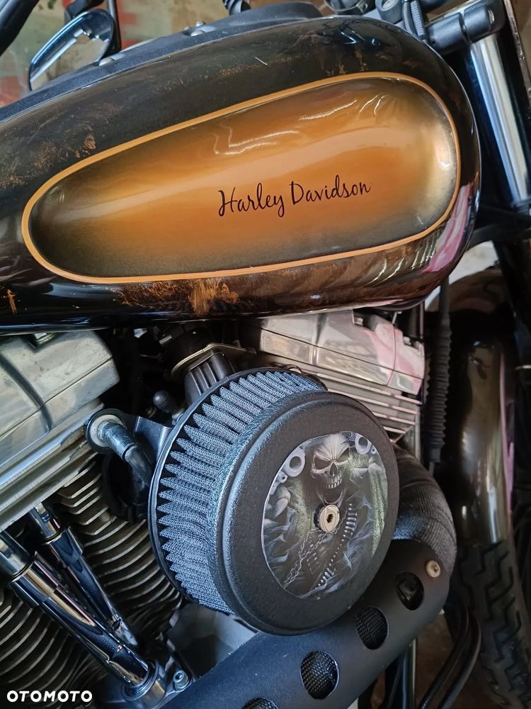 Harley-Davidson Inny - 10