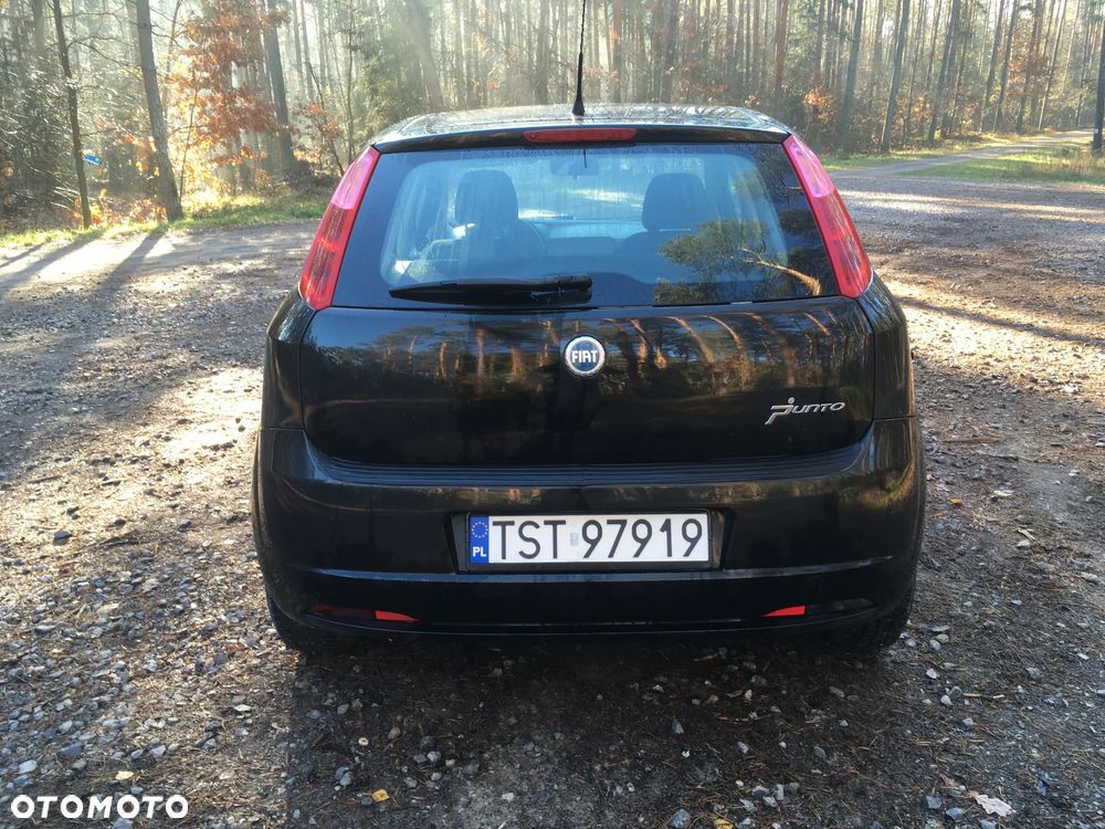 Fiat Punto - 3