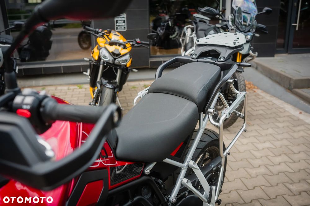 Triumph Tiger - 9