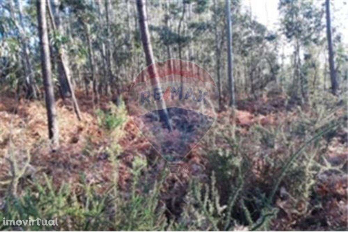 Terreno T0 para venda - Grande imagem: 2/3