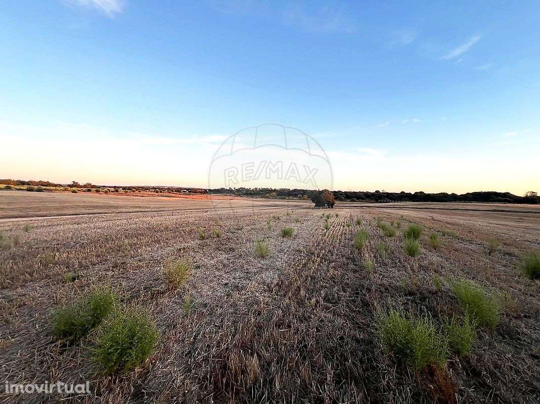 Terreno  para venda - Grande imagem: 3/15