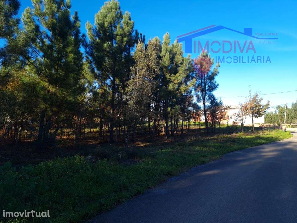 Terreno com possibilidade de construção em Pedrógão Grande - Grande imagem: 2/21