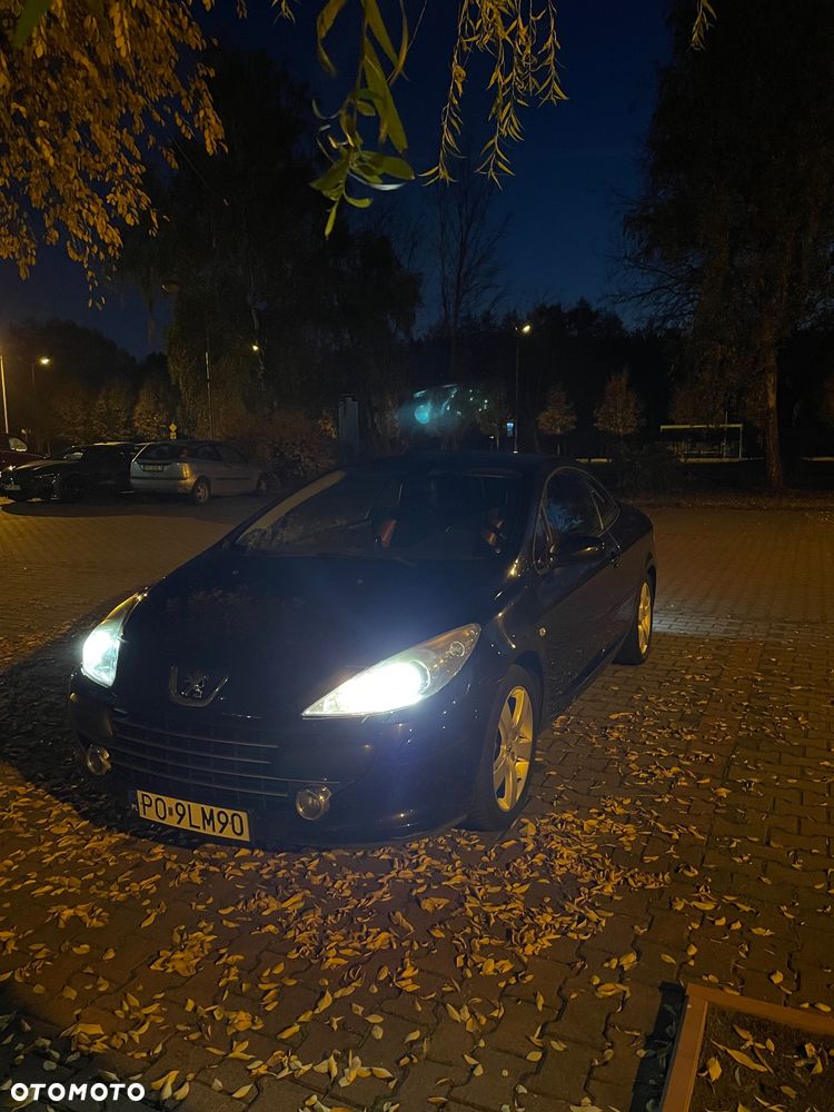 Peugeot 307 CC - 19