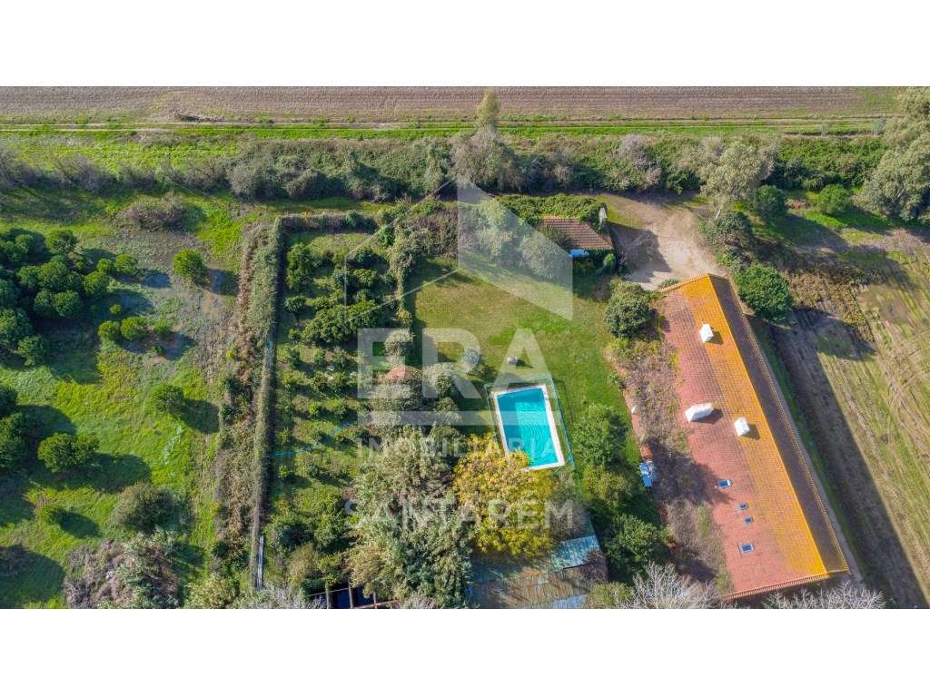 Quinta 25ha com rendimento e Alojamento Local - Grande imagem: 5/47