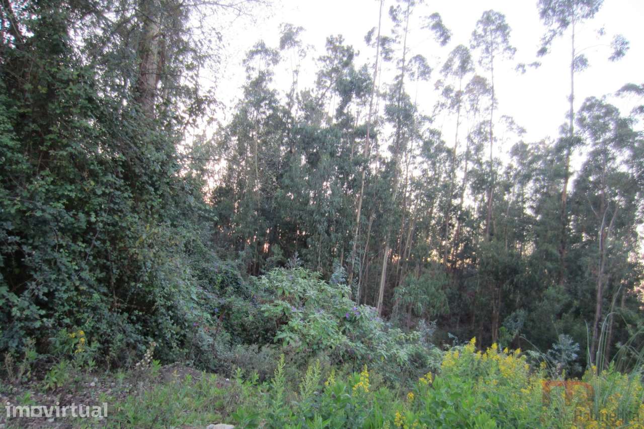 Lote Industrial  Venda em Santa Maria da Feira, Travanca, Sanfins e Es - Grande imagem: 4/9