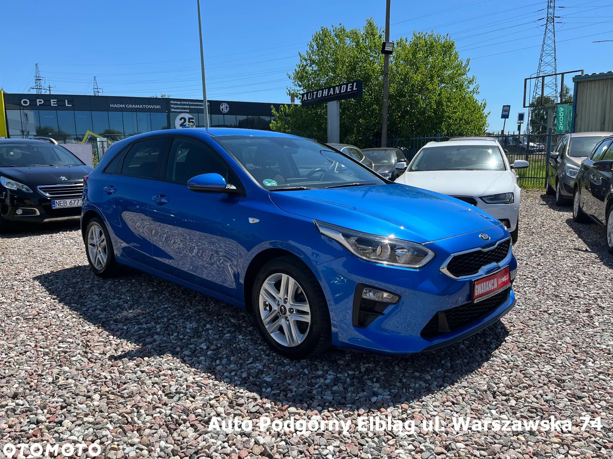 Kia Ceed - 1