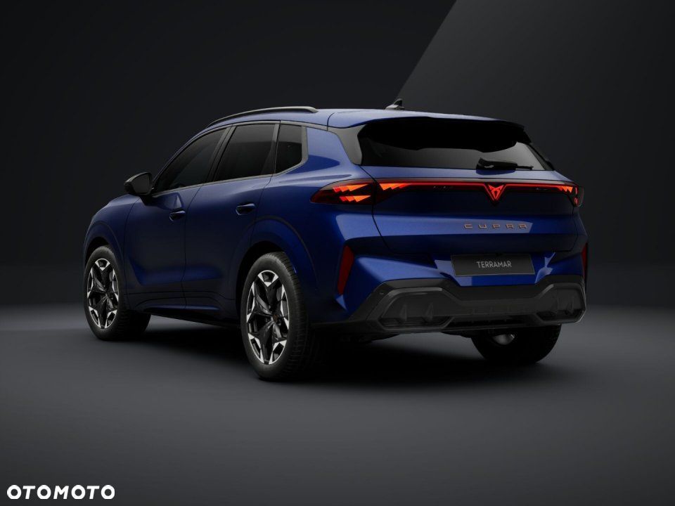 Cupra Terramar - 4