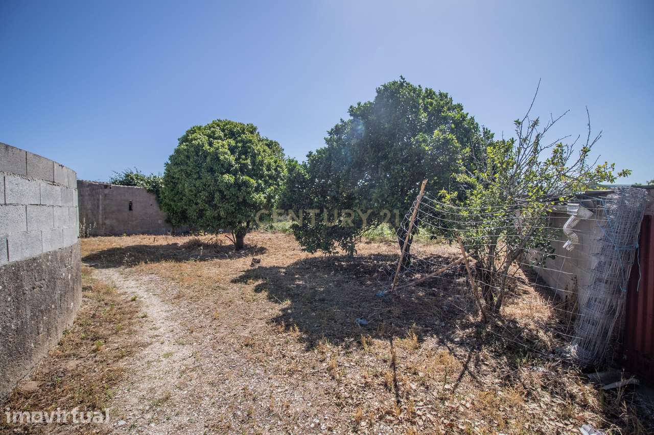 Moradia de Campo para Reabilitar em Santana, Figueira da Foz - Grande imagem: 3/25