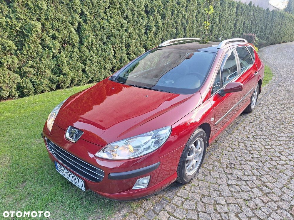Peugeot 407 - 32