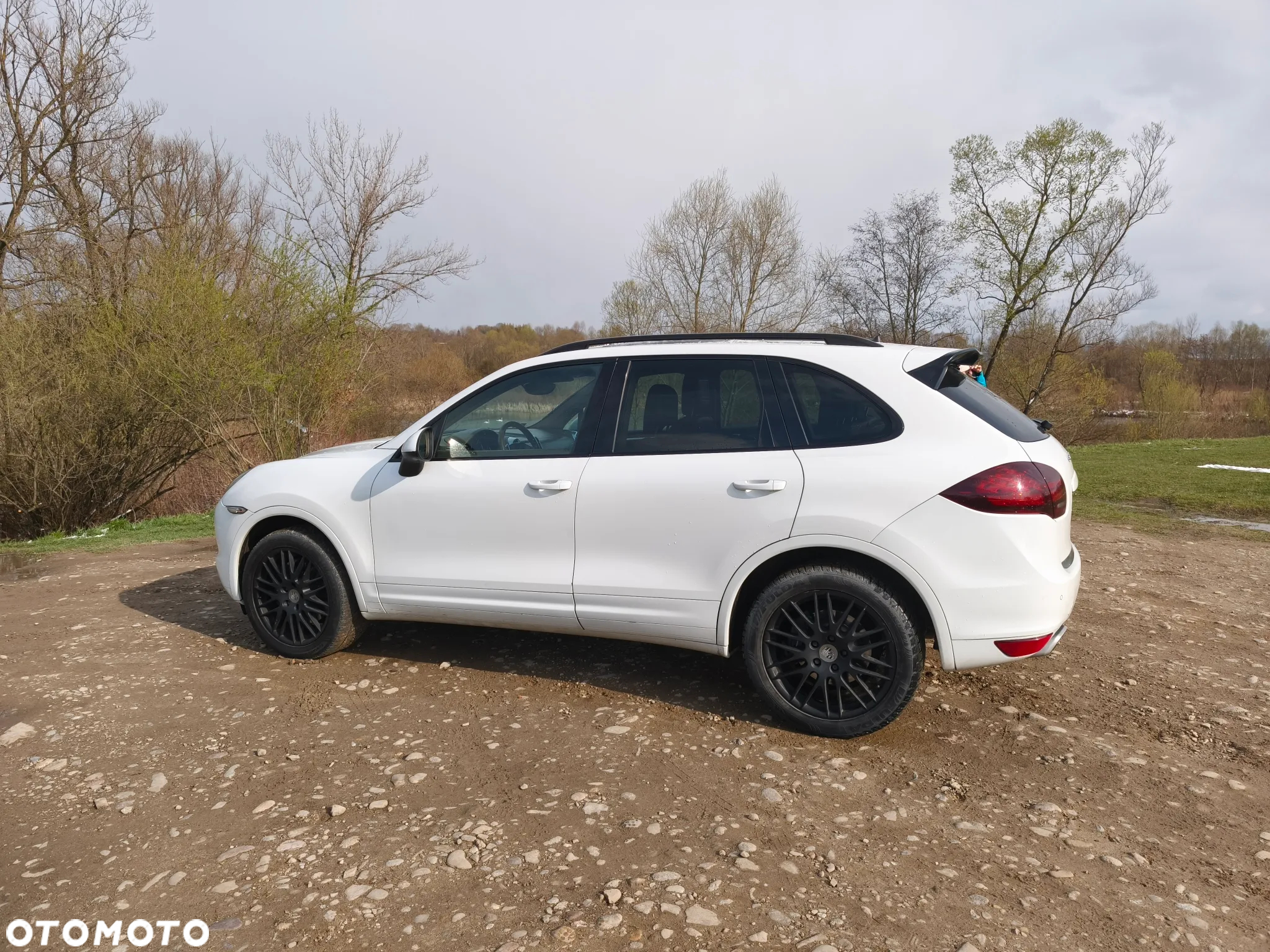 Porsche Cayenne Diesel Platinum Edition - 8