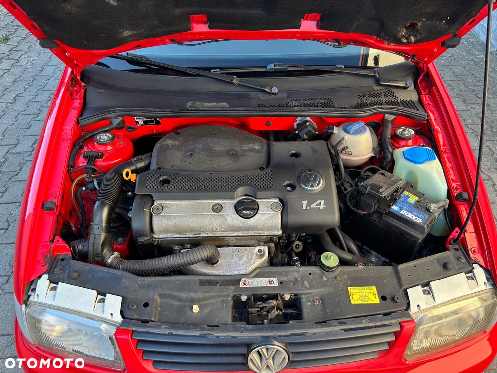 Volkswagen Polo - 19