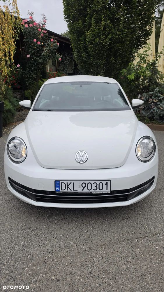 Volkswagen Beetle - 3