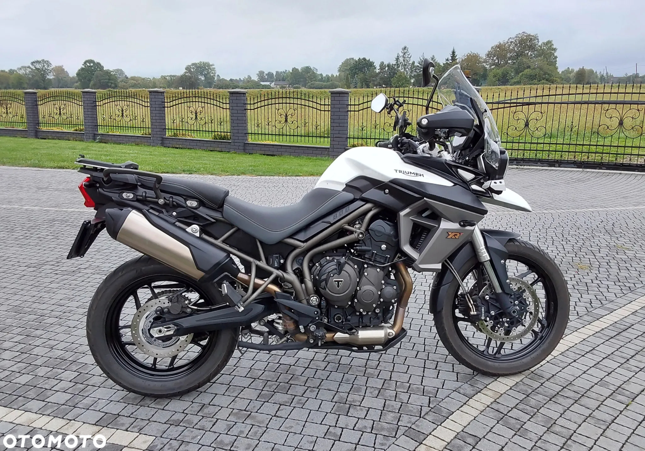 Triumph Tiger - 13