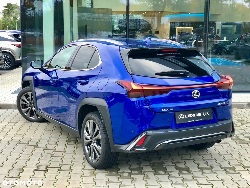 Lexus UX 300h F Sport Design - 11