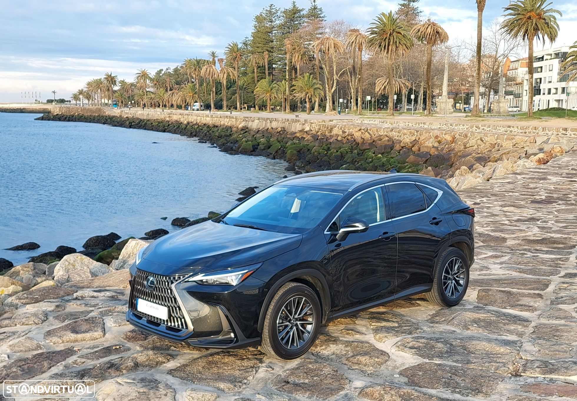 Lexus NX 450h+ - 1