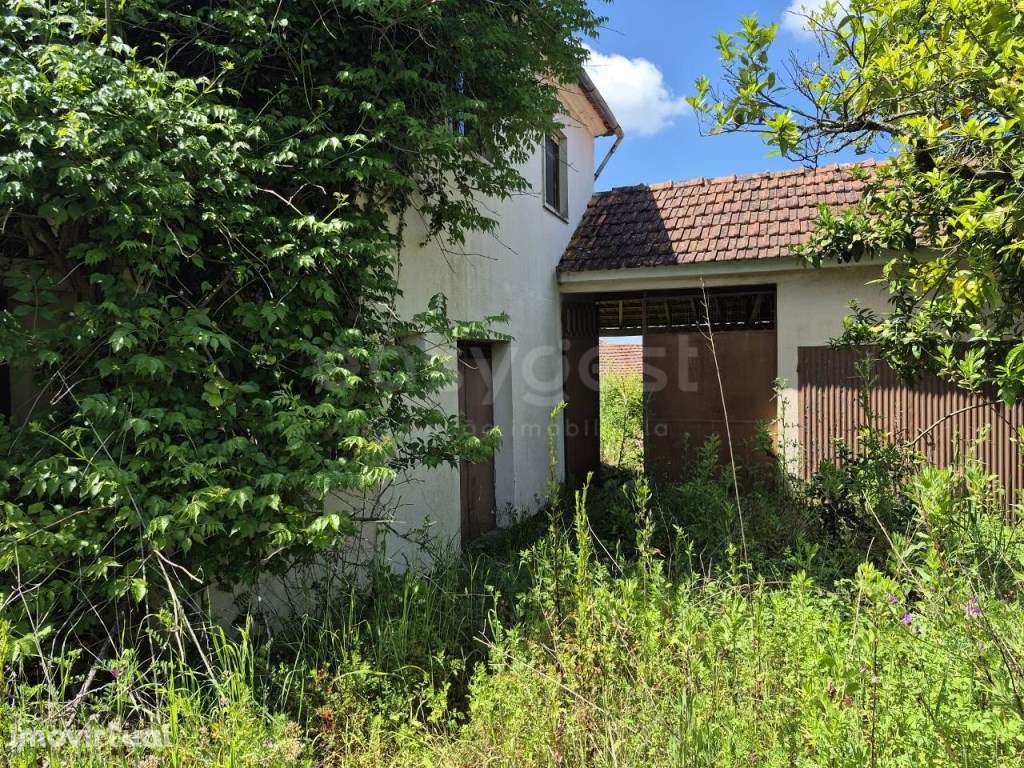 Moradia para reconstrução Amiais Santiago de Litém - Grande imagem: 5/15