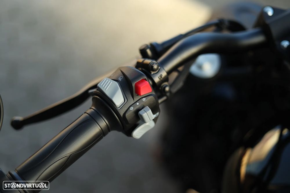 Benda Chinchilla 500 - 14