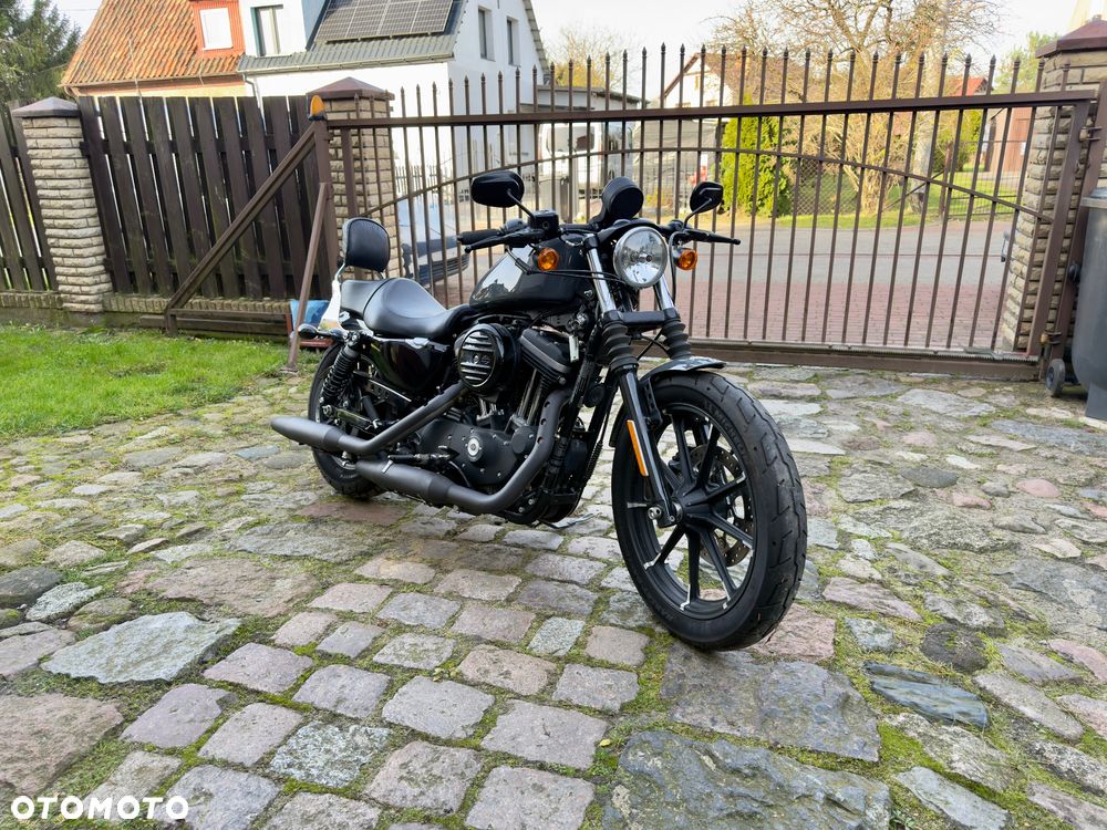 Harley-Davidson Sportster Iron 883 - 3
