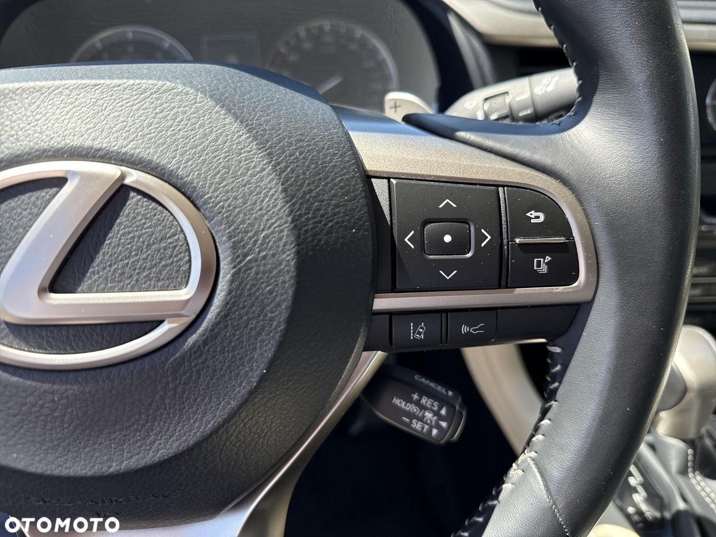 Lexus RX 300 Prestige - 22