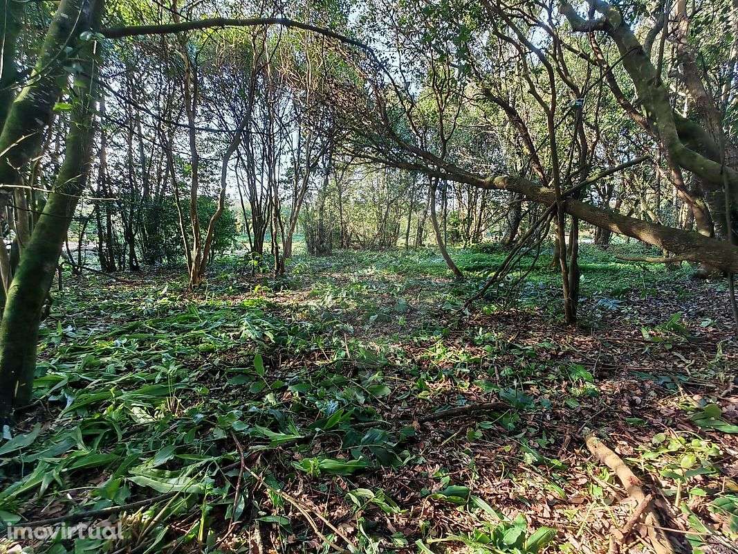 Terreno  para venda - Grande imagem: 2/10