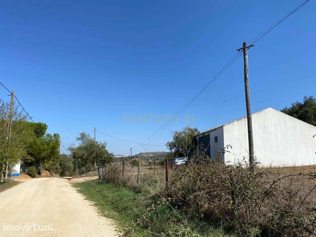 Quinta com 2,6ha, próxima da cidade de Montemor o Novo - Grande imagem: 4/27