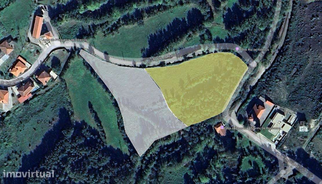 Terreno com 1 hectare em Ribeiros - Grande imagem: 4/4