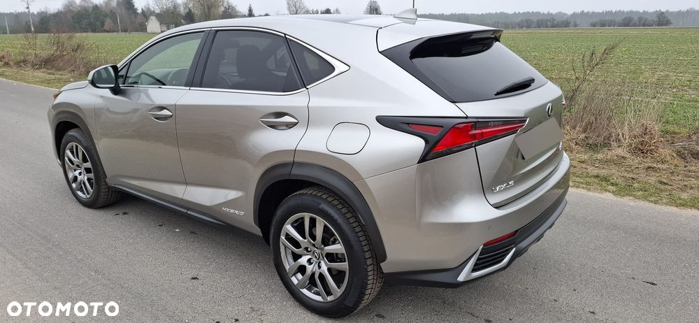 Lexus NX 300h - 3