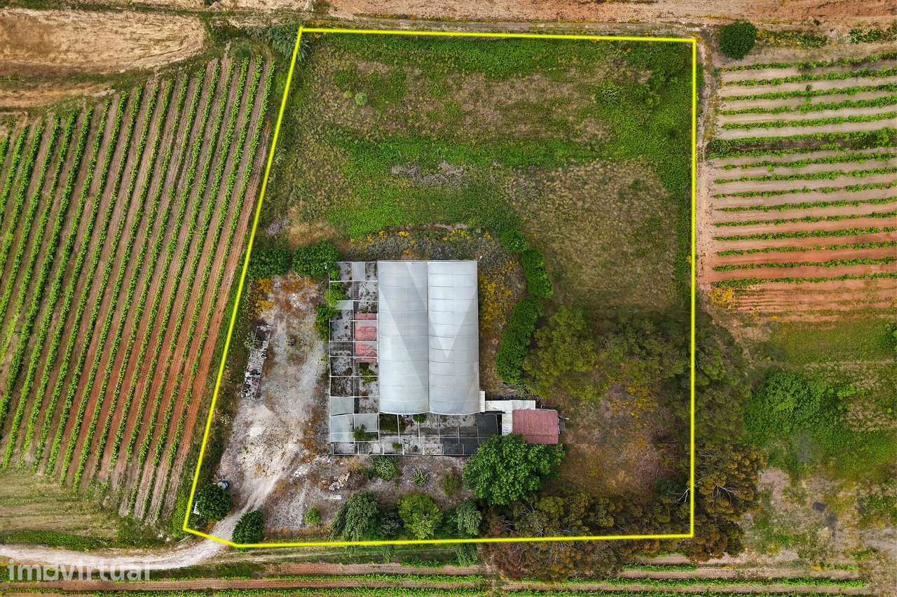 Terreno de cultura e vinha - Grande imagem: 3/17