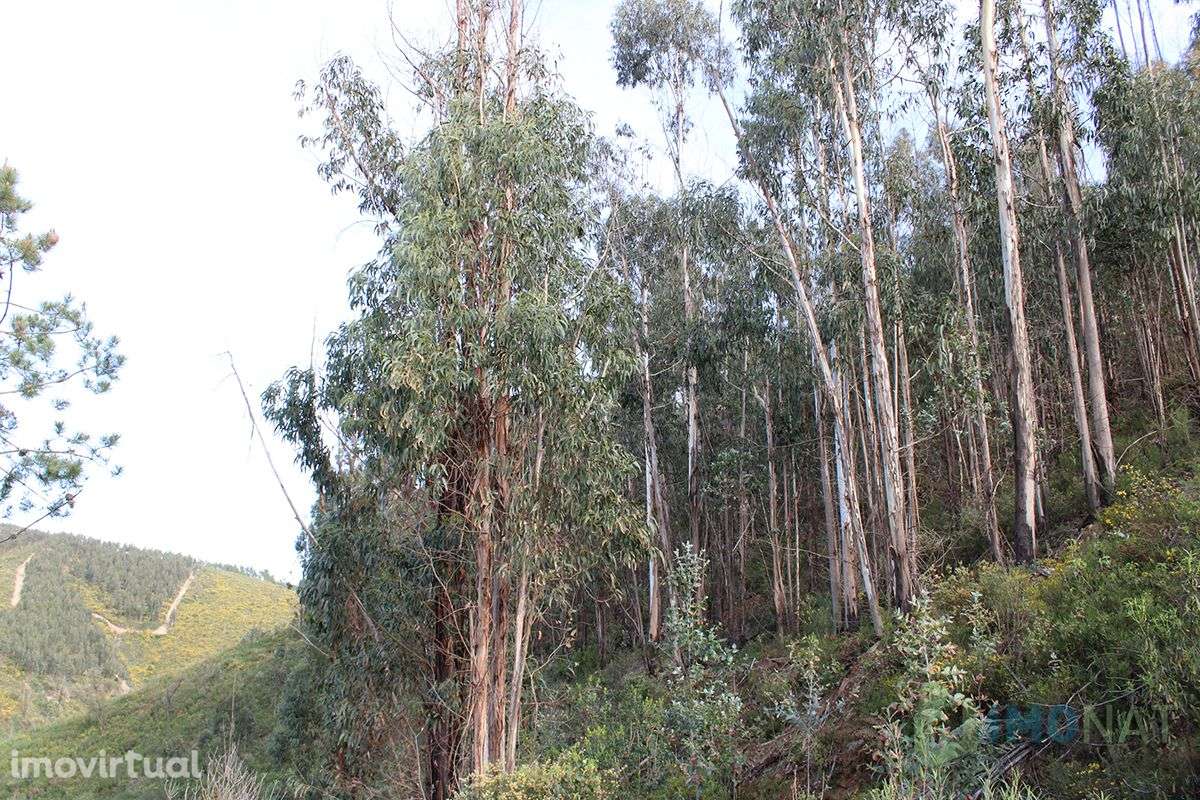 Terreno - Grande imagem: 2/4