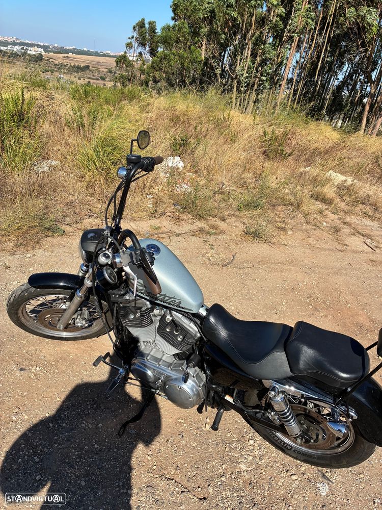 Harley-Davidson 883 Low - 4