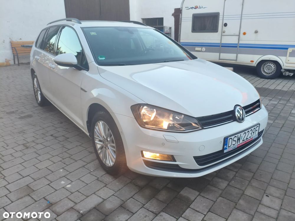 Volkswagen Golf 1.6 TDI BlueMotion Technology Cup - 7