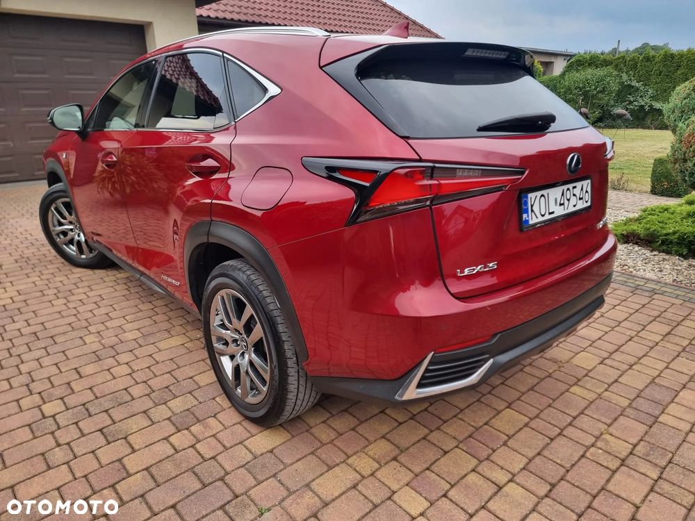Lexus NX 300h F Sport Edition AWD - 24